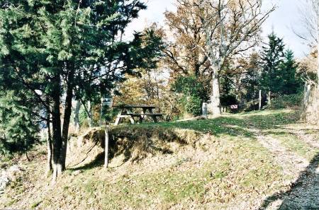 The old farmhouse, The paths leading to the woods